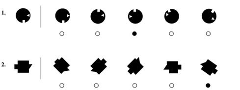 Sample Problem for Visualizing Objects